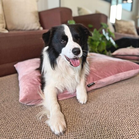 Miękka poduszka dla psa MALIBU, 80x60 cm, Róż