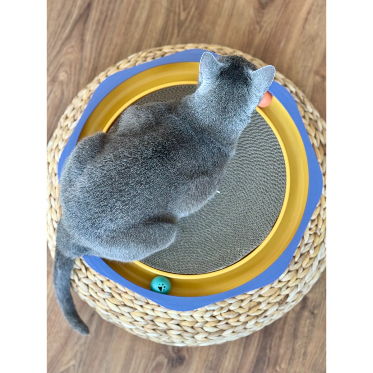 Drapak Dla Kota Zabawka Kocimiętka Okrągła Do Drapania Zabawka