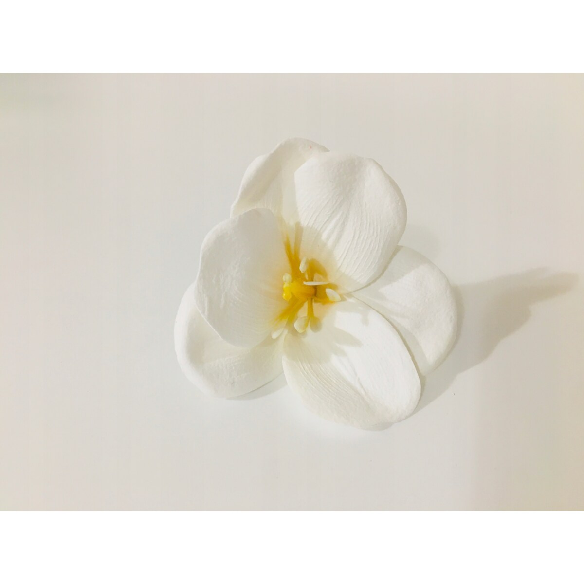 KWIATY MYDLANE MAGNOLIA do bukietów stroika flower box BIAŁA dekoracja