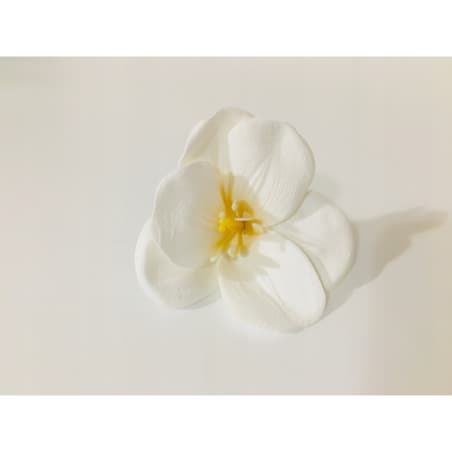 KWIATY MYDLANE MAGNOLIA do bukietów stroika flower box BIAŁA dekoracja