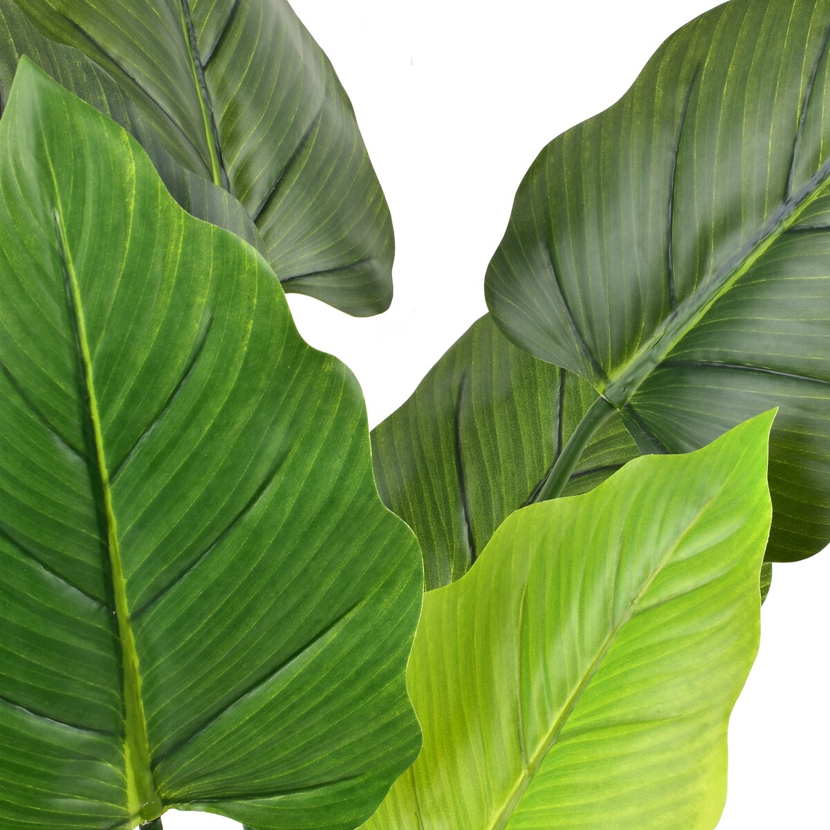 VIRIDIS Kwiat sztuczny alocasia H65cm wdoniczce