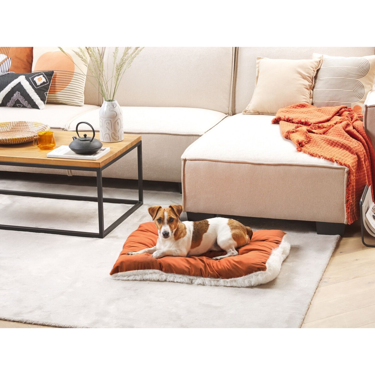 Legowisko 70 x 55 cm pomarańczowe ERGANI