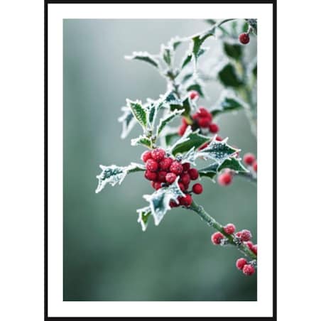 Poster Story, Plakat, Obraz - Świąteczny Ostrokrzew, wymiary 21 x 30 cm