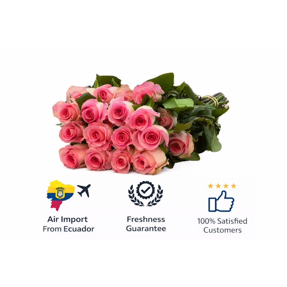 Bukiet róż Mandala – 25 sztuk, wysokość 40-45cm (Ekwador)