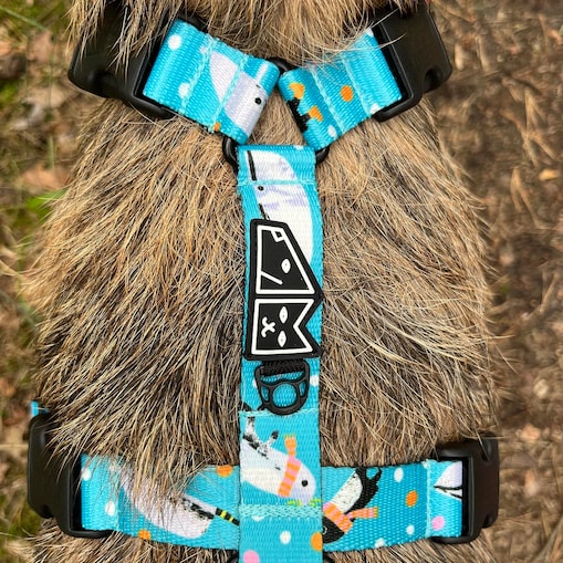 Szelki guard Stay on "Łot de fok?" - Szerokość taśmy: 25mm, Rozmiar: L