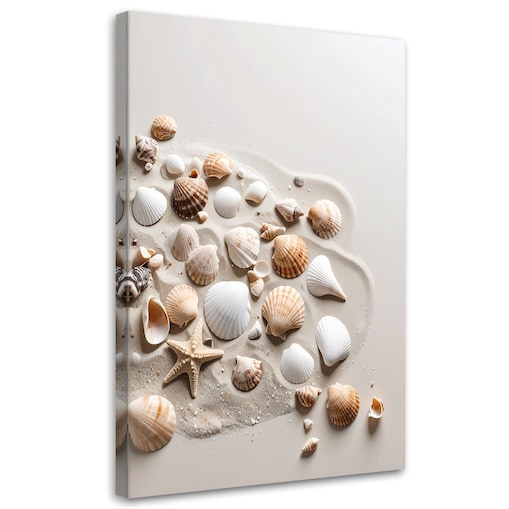 Obraz do salonu kuchni biura, Muszelki plaża natura beżowy 80x120
