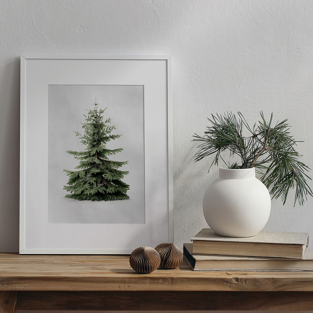 Plakat Jodła kaukaska 21x30cm