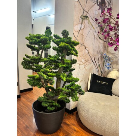 Bonsai na naturalnym pniu 120cm