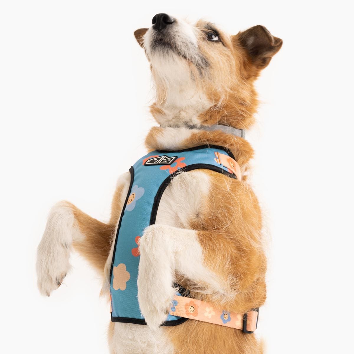 Szelki bezuciskowe dla psa lub kota "Oopsy Daisy" - Szerokość taśmy: 20mm, Rozmiar: S