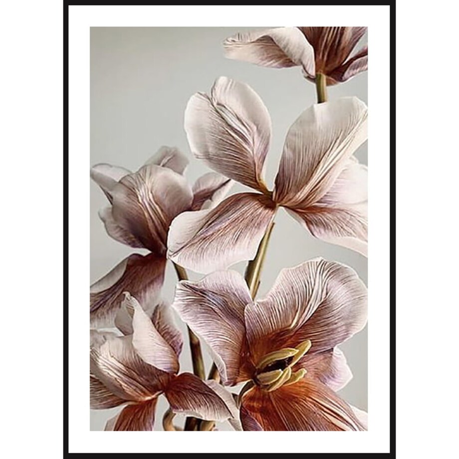 Poster Story, Plakat, Obraz - Pudrowe Magnolie, wymiary 60 x 84 cm