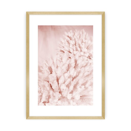 Plakat Pastel Pink II, 30 x 40 cm, Ramka: Złota