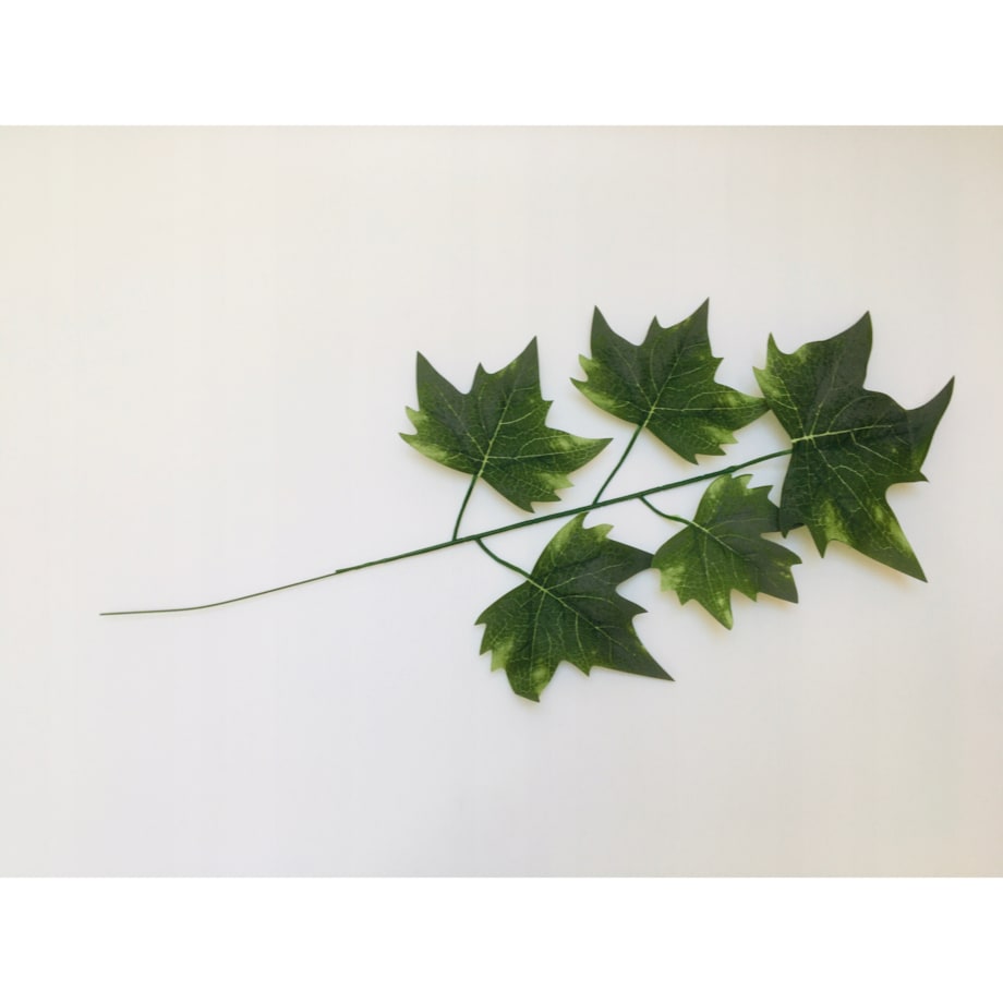 LIŚĆ PIK dodatek do bukietu stroika CIEMNY ZIELONY kompozycja gałązka klonu