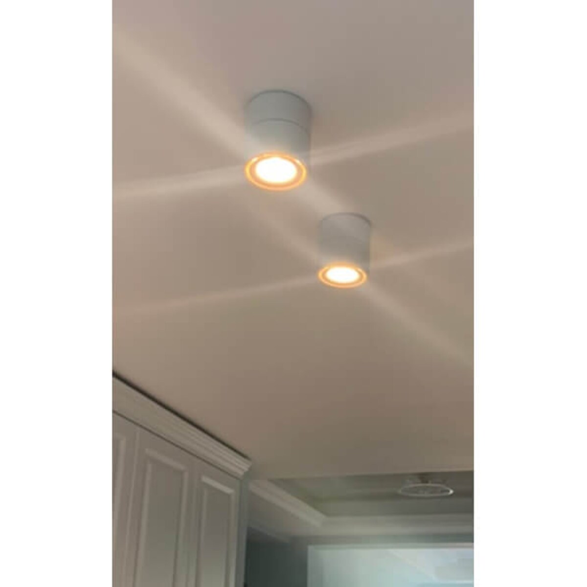 Spot LAMPA sufitowa ALIDOR MZTD-W-12-20WW Abigali metalowa OPRAWA regulowana LED 12W 3000K reflektorek biały