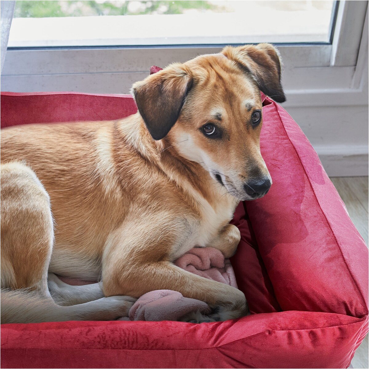 Legowisko Dla Psa Kanapa Posłanie Welurowe 70X60 Cm Pikowane Prestiżowe Czerwone