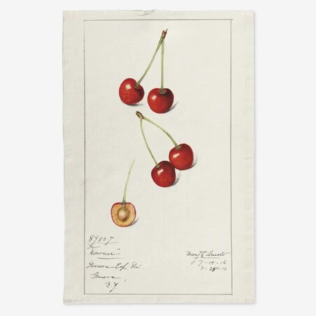 Lniany ręcznik kuchenny - spadające wiśnie