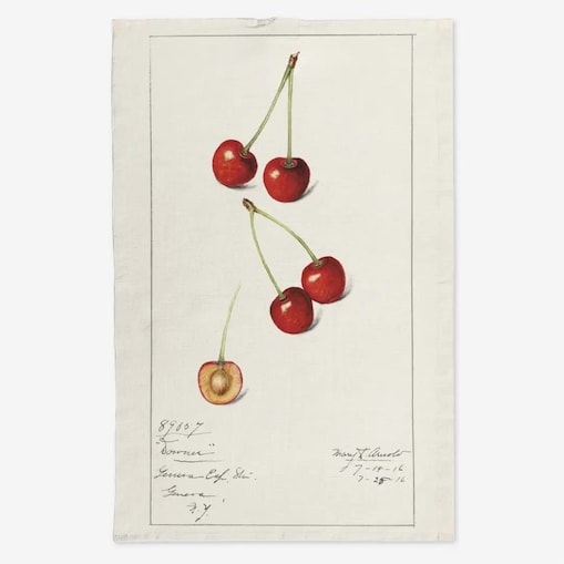 Lniany ręcznik kuchenny - spadające wiśnie