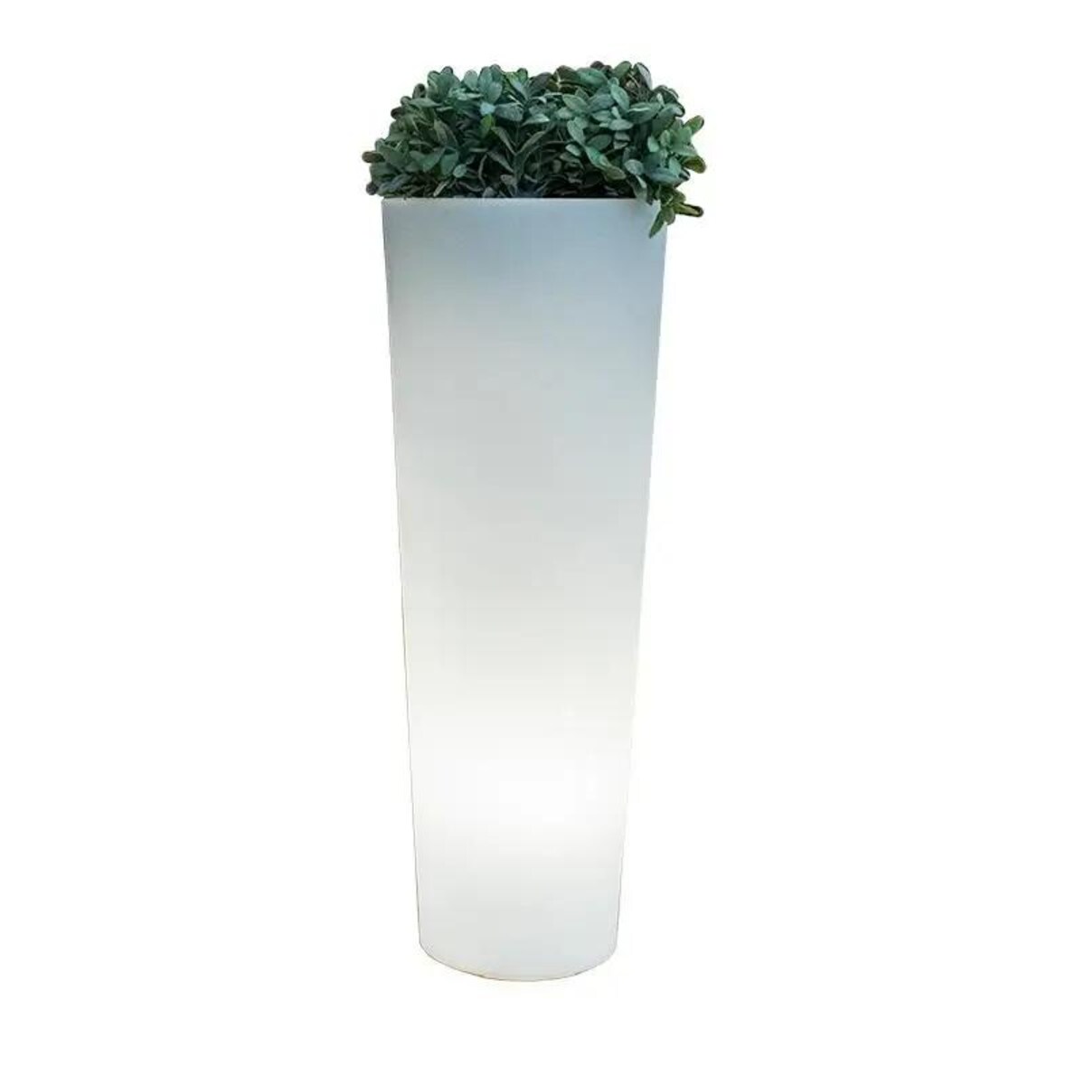 Donica cylinder Ficus LUMFC080SSNW King Home LED RGB 1W 3000-6500K IP65 biała