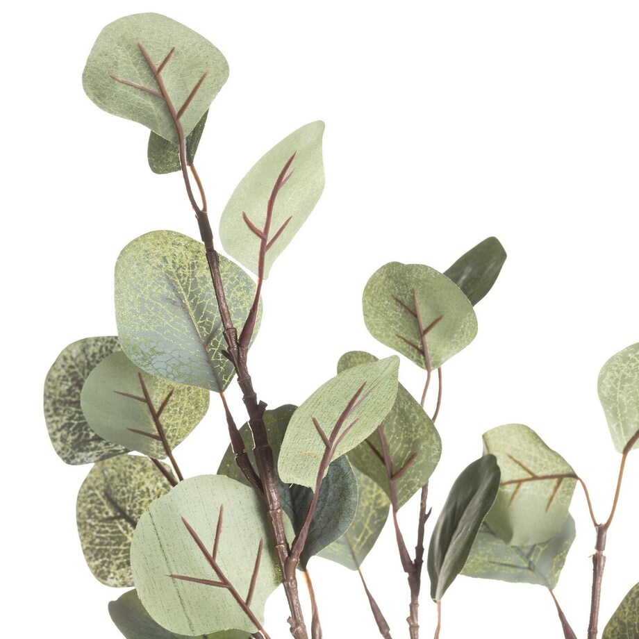 Gałązka Eukaliptusa 68cm, 10 x 5 x 68 cm