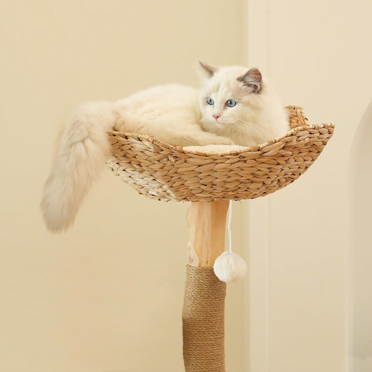 DRAPAK DLA KOTÓW P70386