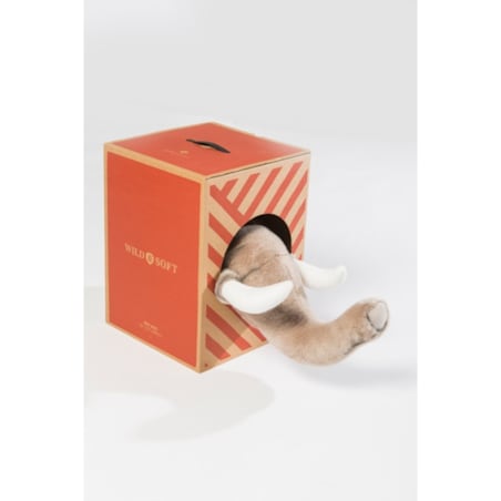 Trofeum Słoń George Wild&Soft