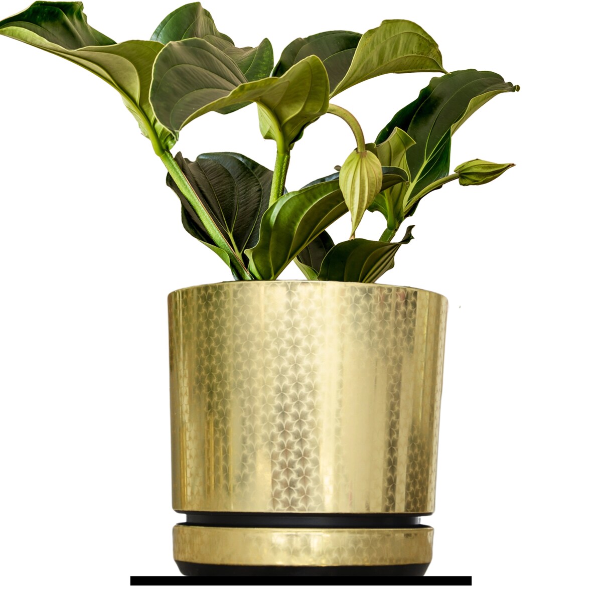 21 cm wzór ZŁOTY ART - DECO piękny elegancki deseń niezwykły wzór glamour ekskluzywna