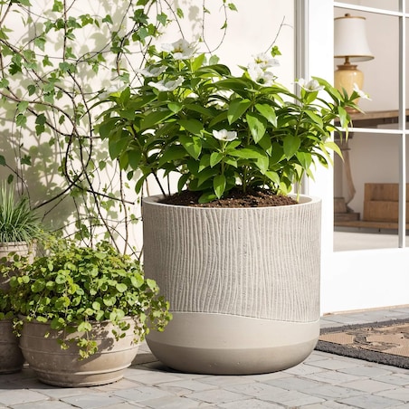 DONICZKA ALETTO SAND M