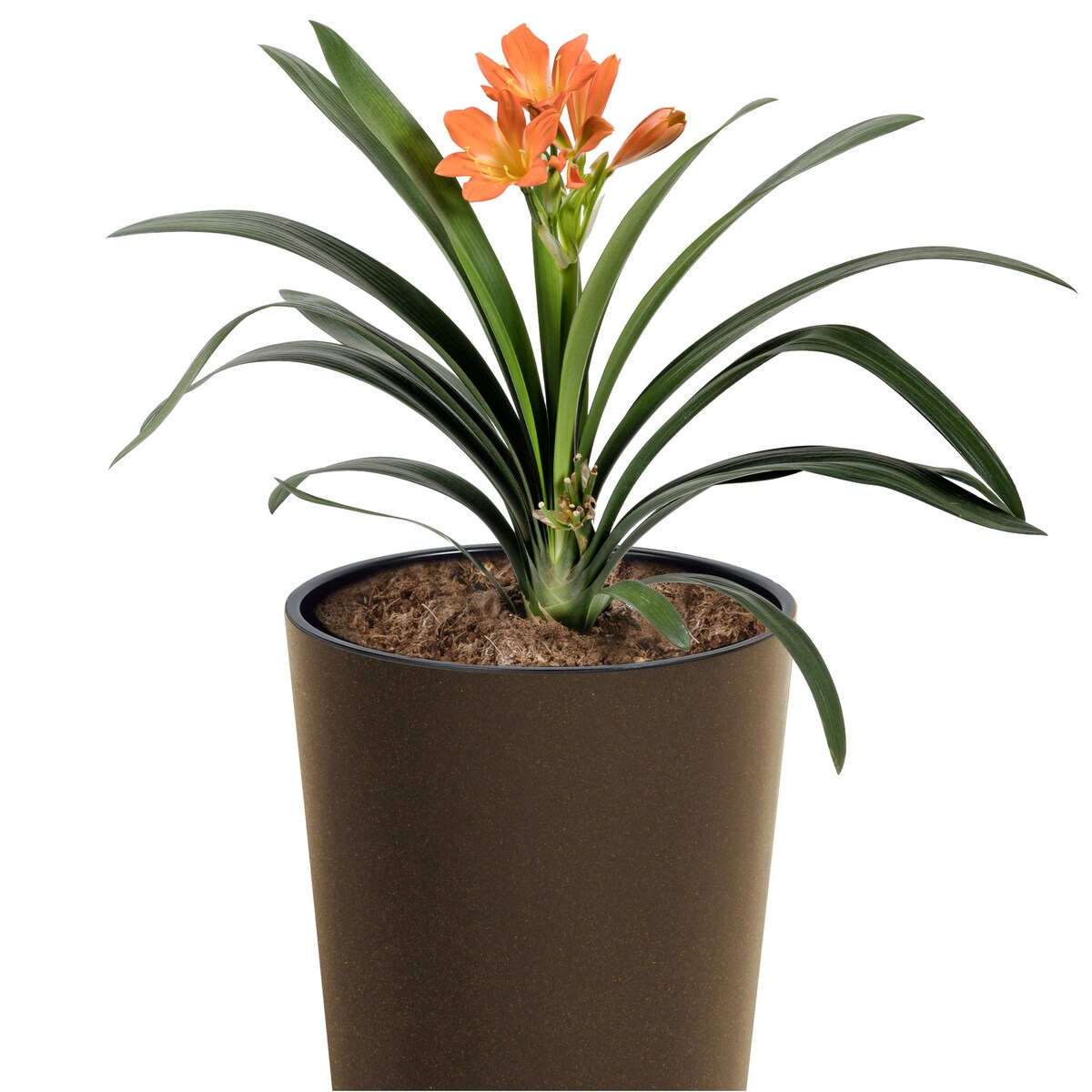 Donica Doniczka Ogrodowa 25 Cm Na Taras Do Ogrodu Domu Eco Wood Kawa