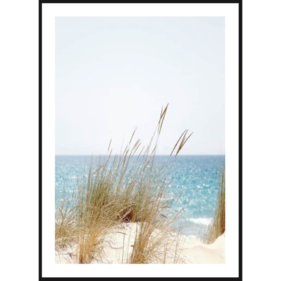 Poster Story, Plakat, Obraz - Nadmorska Trawa, wymiary 60 x 84 cm