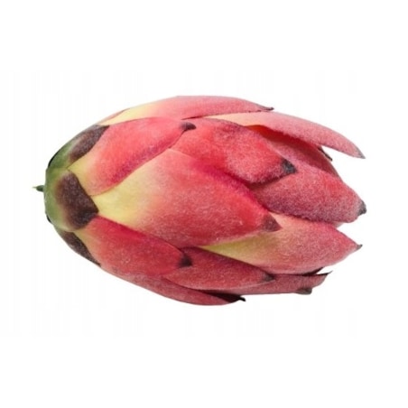 KARCZOCH SZTUCZNY do dekoracji wiązanki stroika duży podłużny 1szt