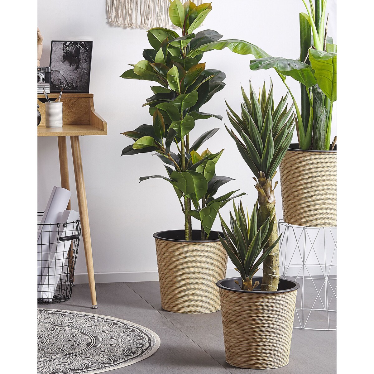 Sztuczna roślina FICUS ELASTICA 134 cm Zielony
