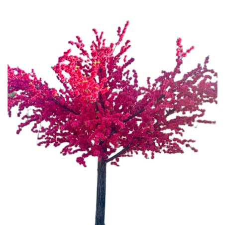 Drzewo kwitnącej wiśni 350 cm x 350 cm - olbrzymie