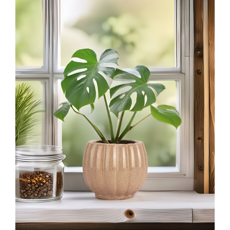 DONICZKA OSŁONKA CERAMICZNA BEŻOWA 16cm duża skandynawska na bonsai palmę