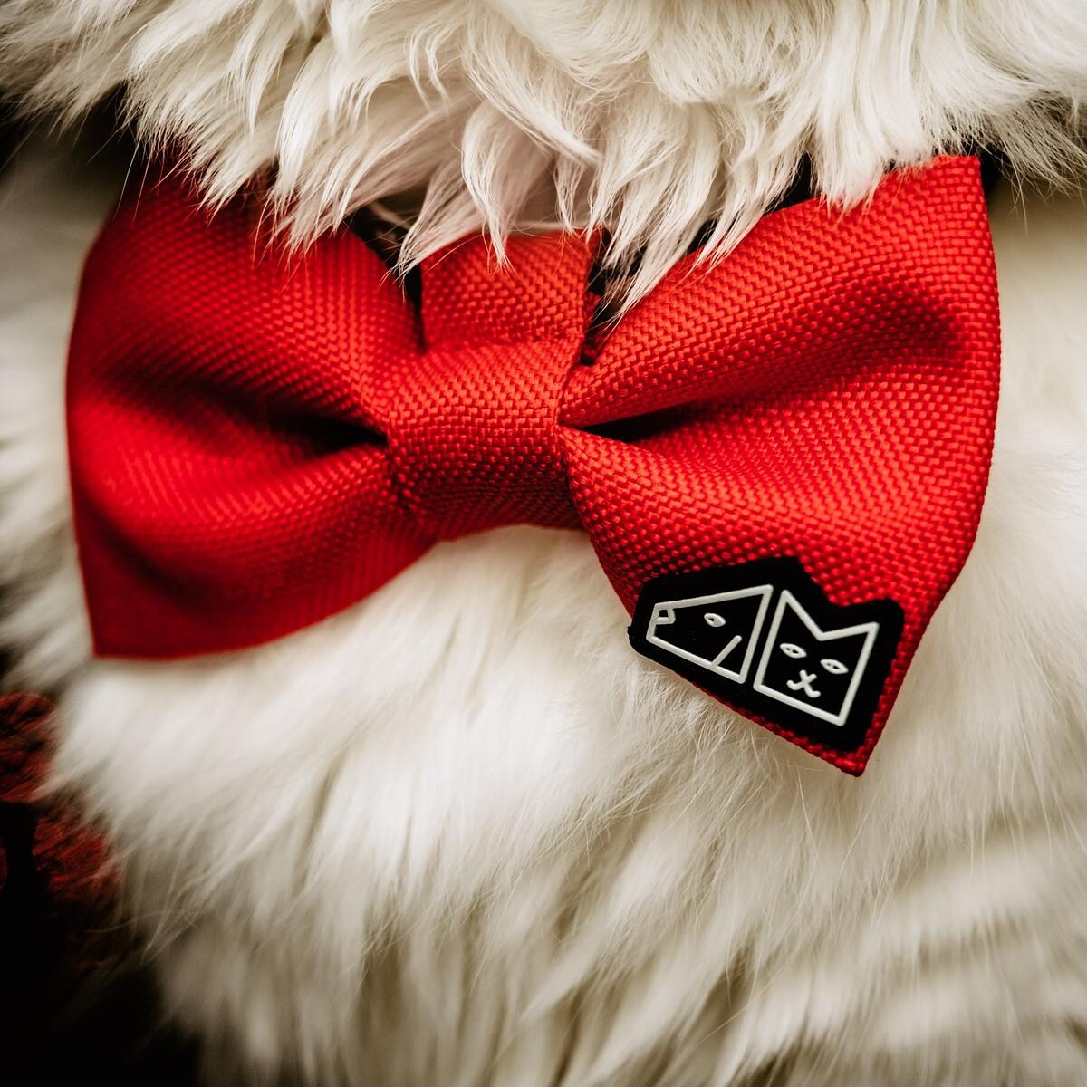 Muszka "Zawstydzona biel" - Rozmiar: M