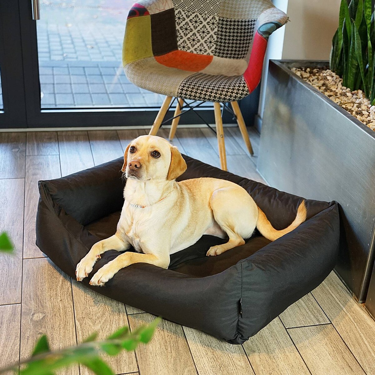 Wodoodporne legowisko dla psa KOKO, 80x60 cm, Czarny