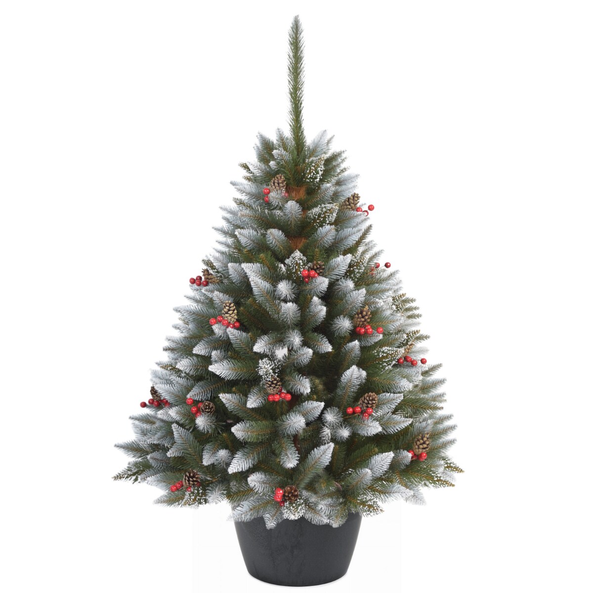 Choinka Premium Świerk Diamentowy Ilex w Okrągłej Donicy 160 cm X-Choinka 7 kolorów donicy