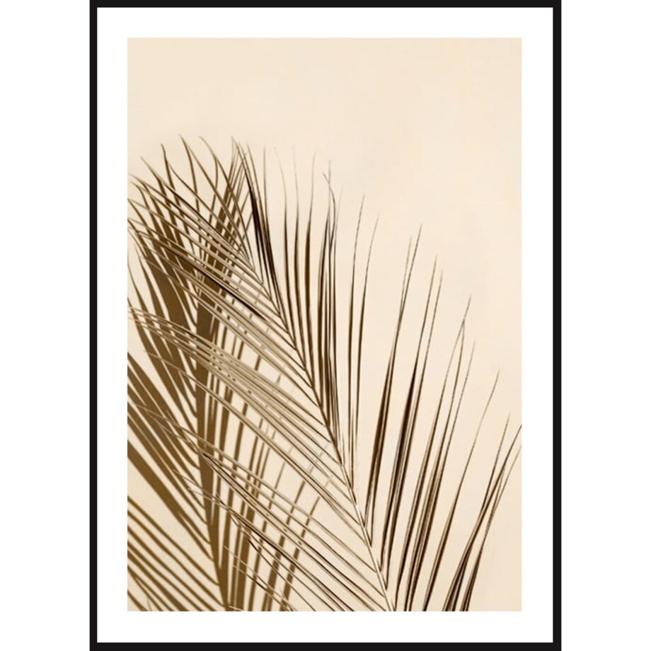 Poster Story, Plakat, Obraz - Wdzięczna Palma, wymiary 60 x 84 cm