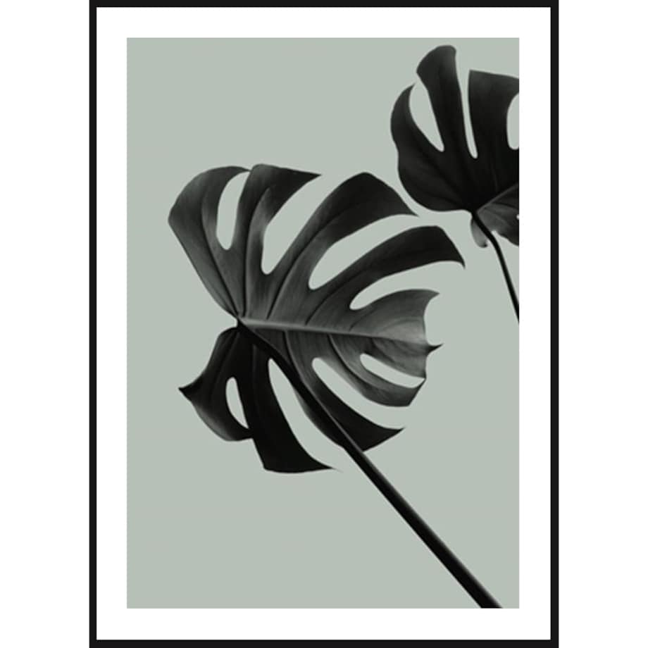 Poster Story, Plakat, Obraz - Monstera na Zielonym Tle No2, wymiary 30 x 42 cm