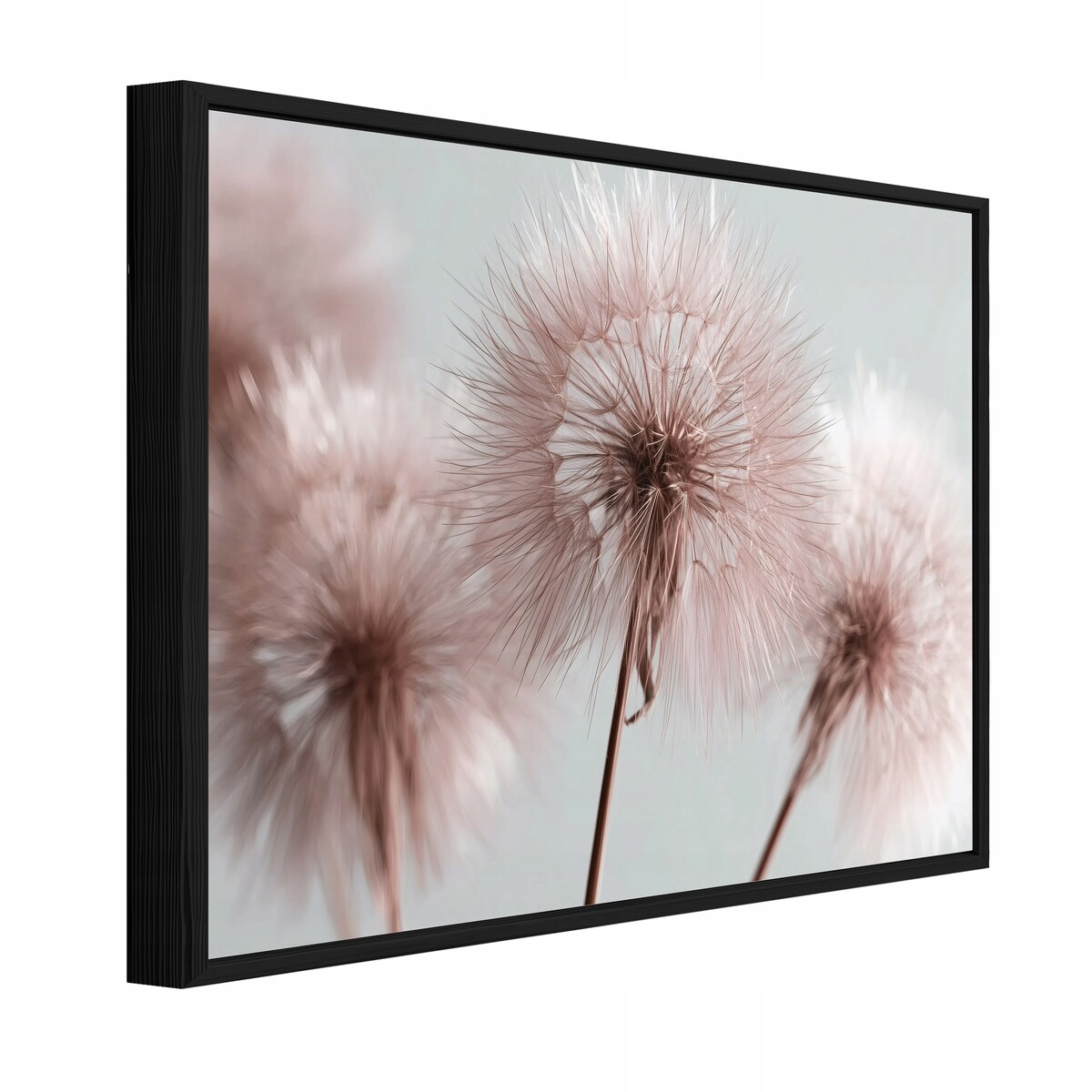 Obraz W Ramie Do Sypialni Salonu Na Płótnie Dmuchawce Natura Różowy 120x80