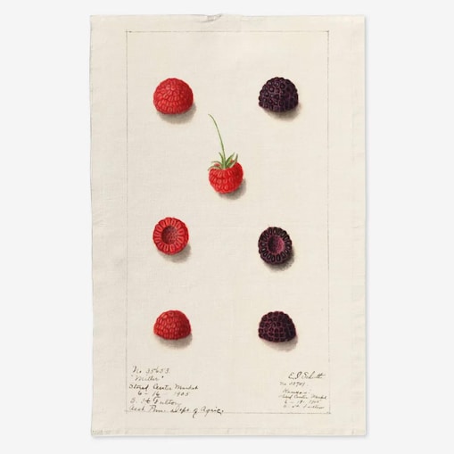 Lniany ręcznik kuchenny - Malinki