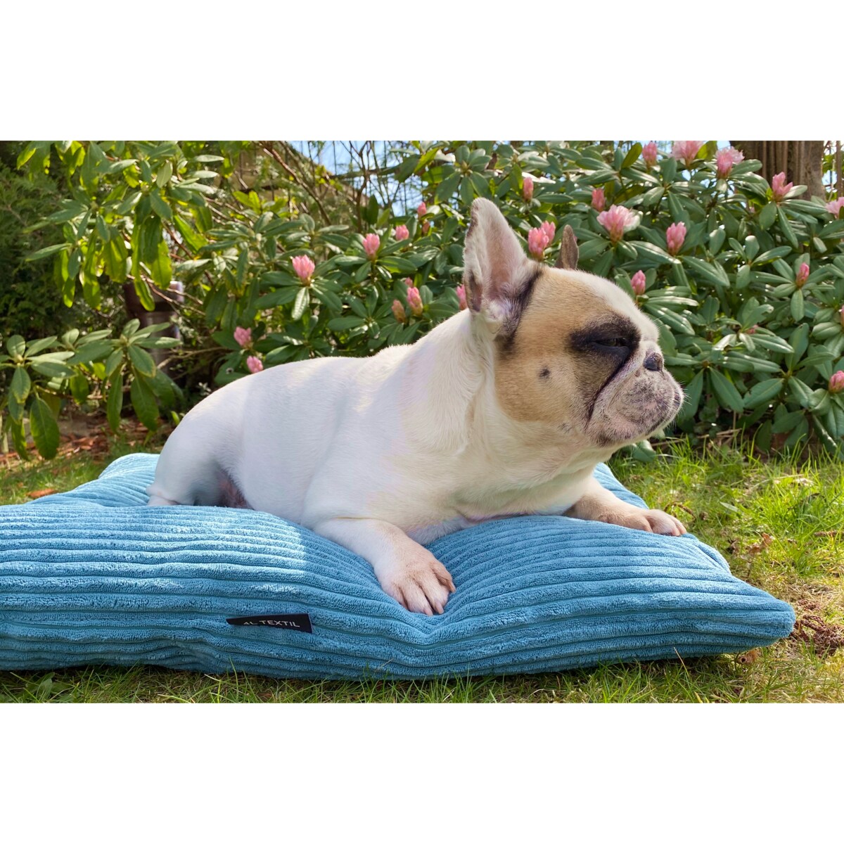 Poduszka dla psa ze sztruksu MOLLY, 100x80 cm, Turkus