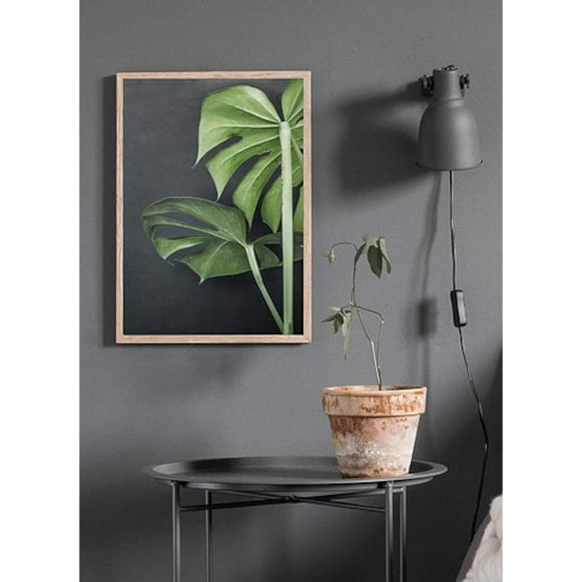 Poster Story, Plakat, Obraz - Liście Monstery na Szarym Tle, wymiary 60 x 84 cm