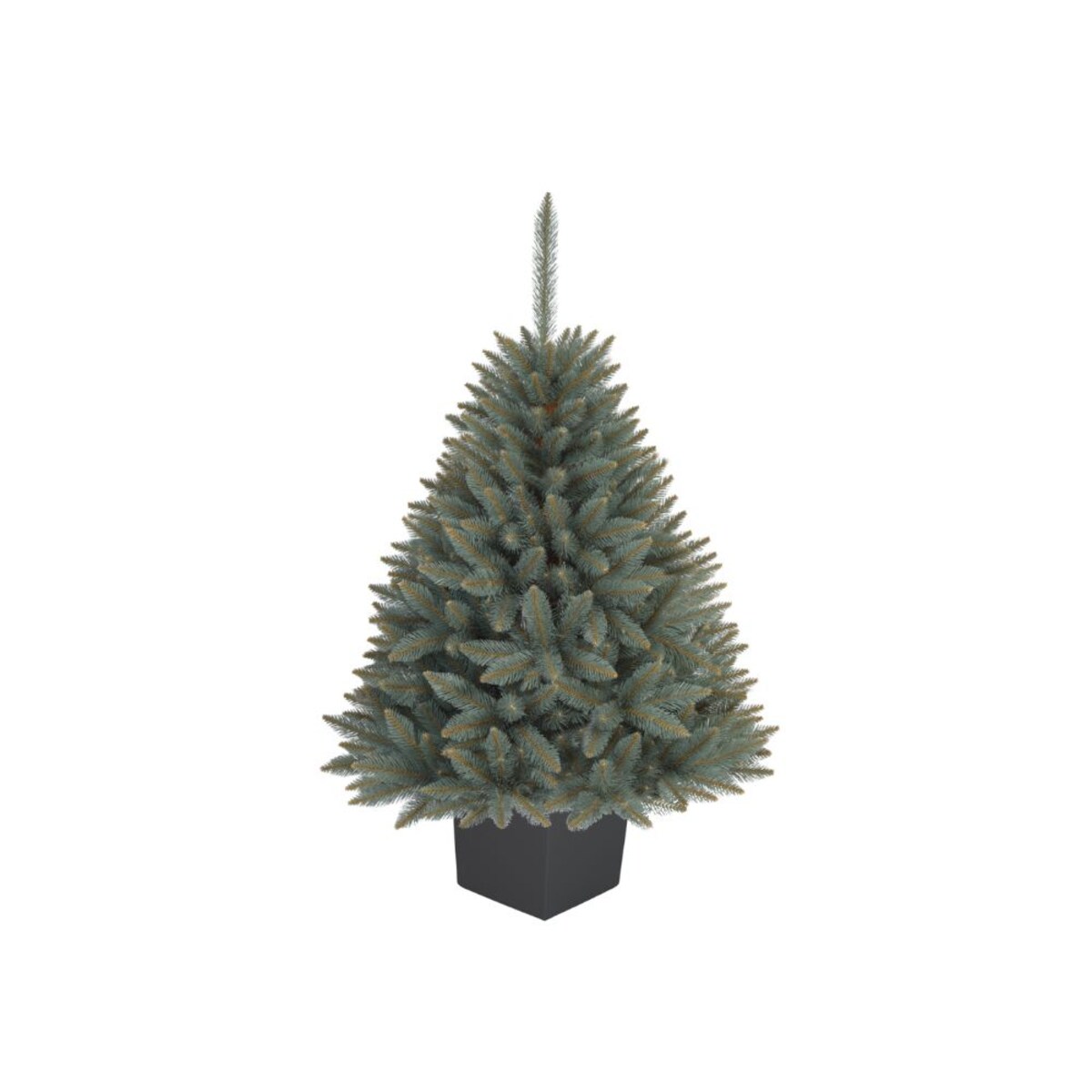 Choinka Premium Świerk SREBRNY w Kwadratowej Donicy 130 cm X-Choinka 7 kolorów donicy