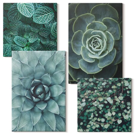 Zestaw 4 obrazów na płótnie - Sukulenty w zieleni i turkusie - zielony
