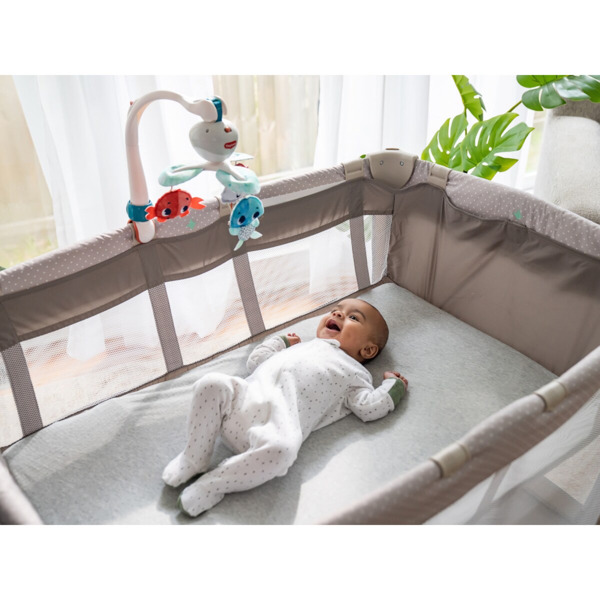 Karuzela podróżna - Skarby Oceanu