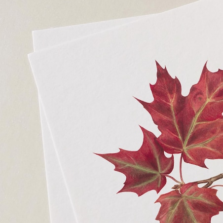 Plakat Jesienne liście #1 30x40cm