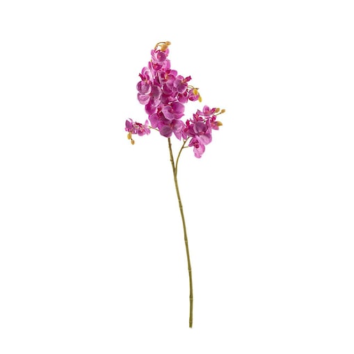 Kwiat Orchid Fuchsia 55cm, 55 cm