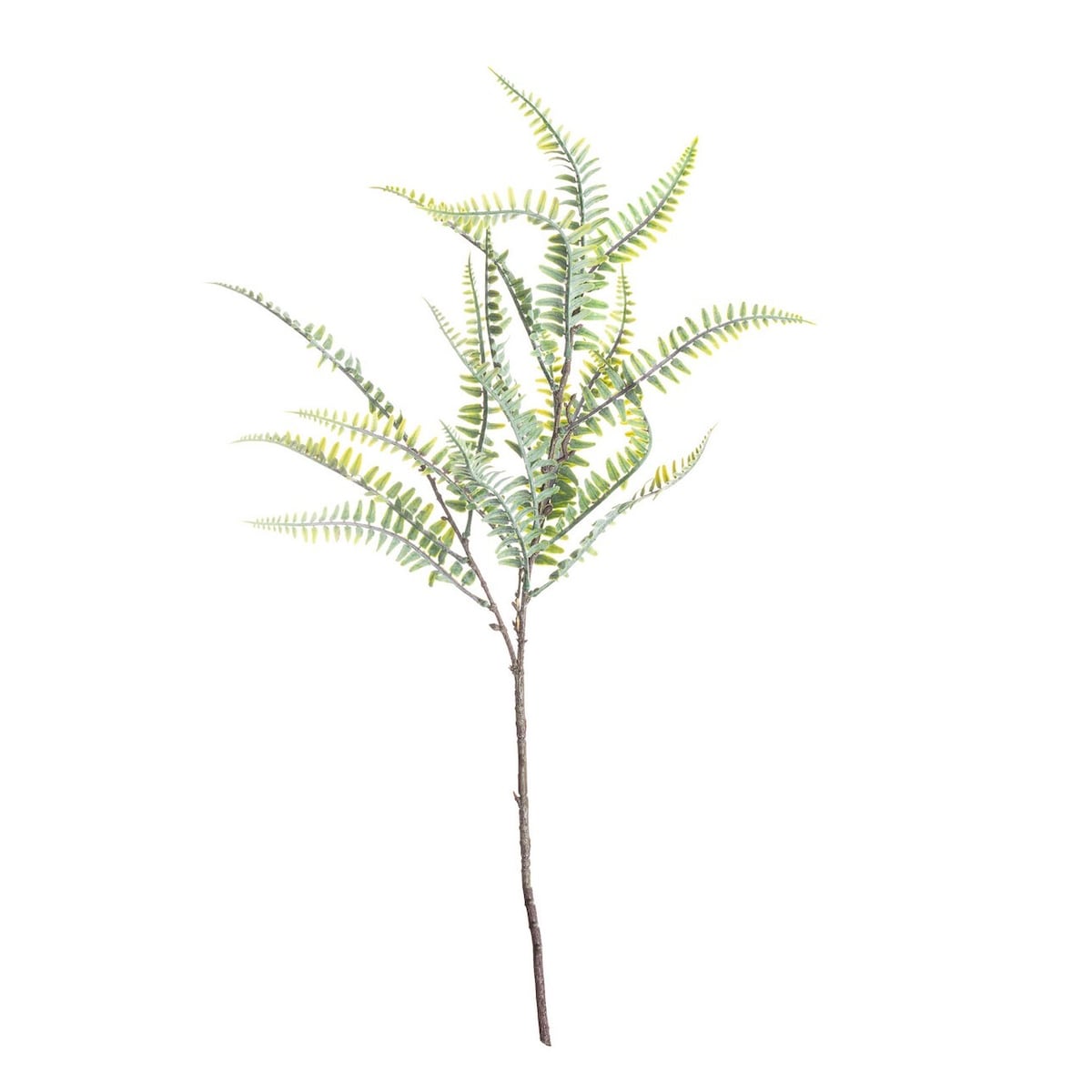 Paproć na gałązce 60cm, 10 x 10 x 60 cm