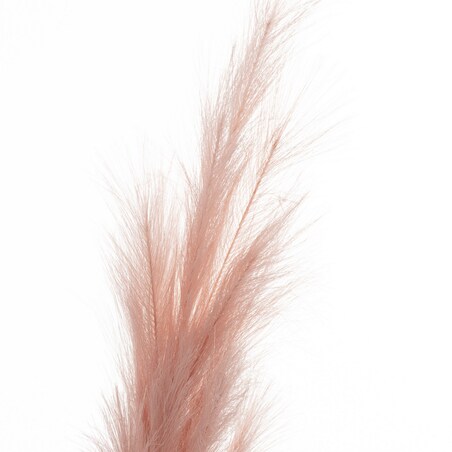 Gałązka Pampas 130cm pink, 2 x 130 cm