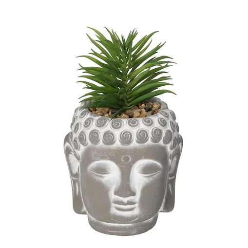 Dekoracja Succulent I Buddha 17cm, 10 x 10 x 17 cm