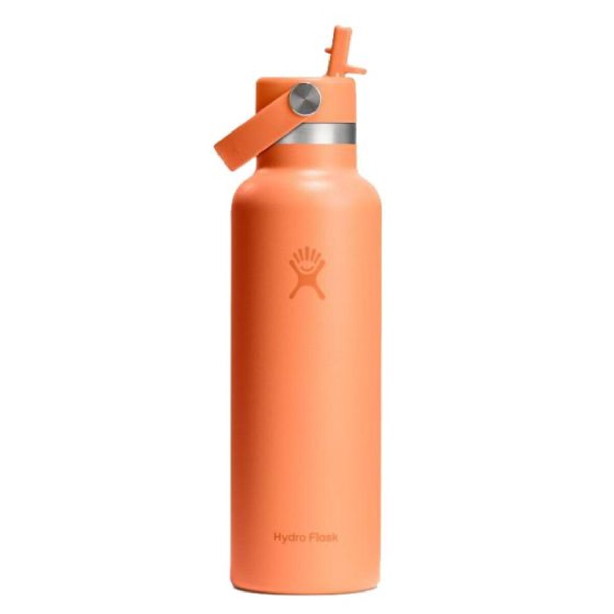 Butelka termiczna (621 ml) Nectar Standard Mouth Flex Straw Hydro Flask